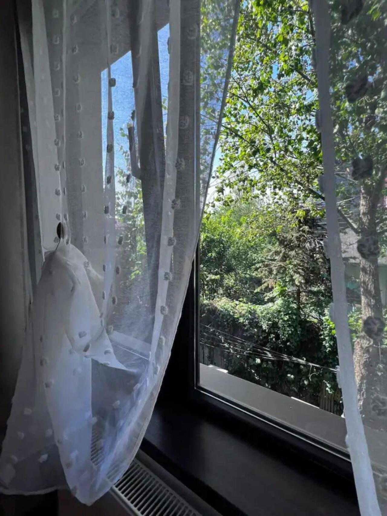 Vila Luminoasa Cu Curte Privata بوخارست المظهر الخارجي الصورة