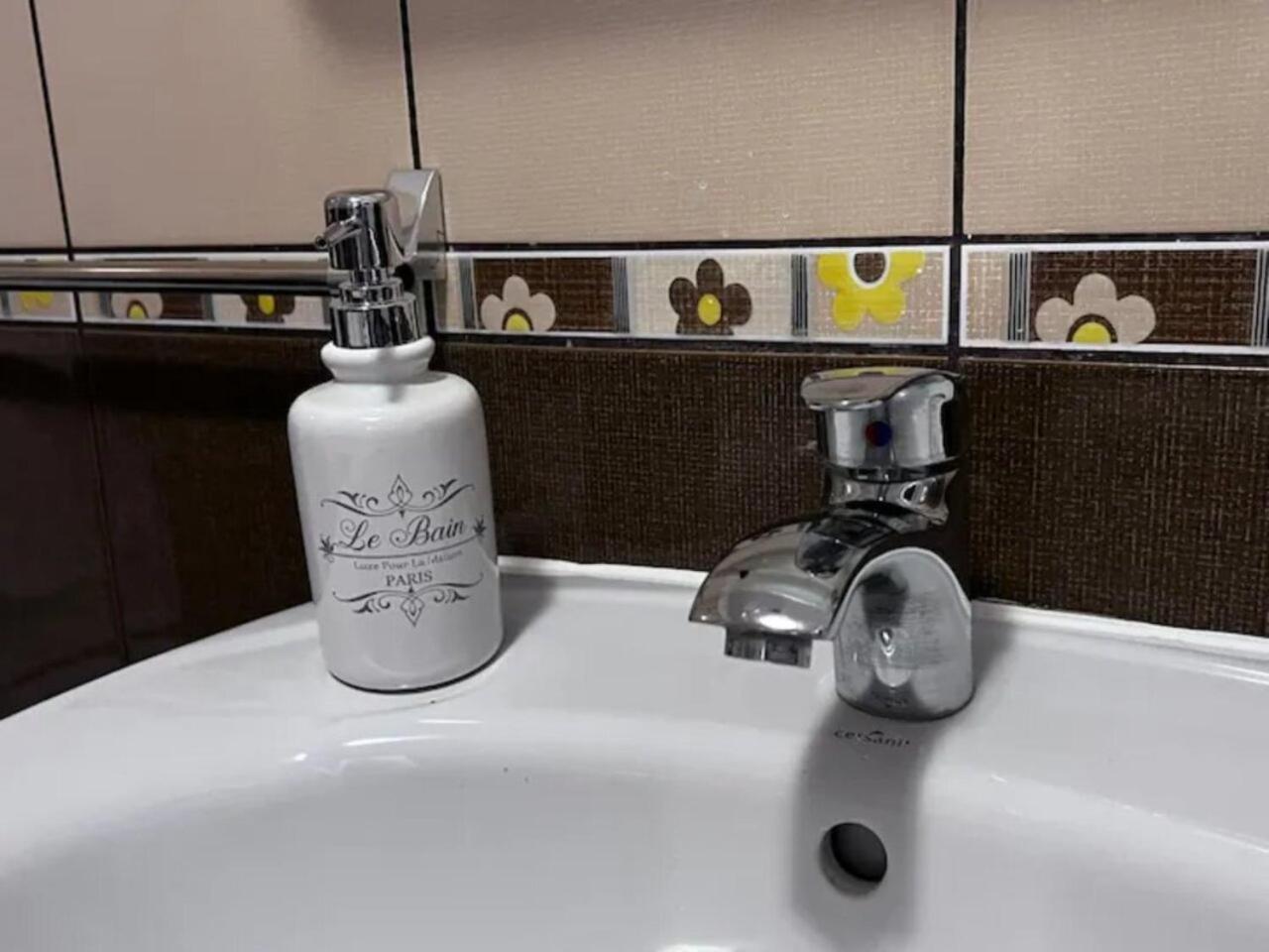 Vila Luminoasa Cu Curte Privata بوخارست المظهر الخارجي الصورة